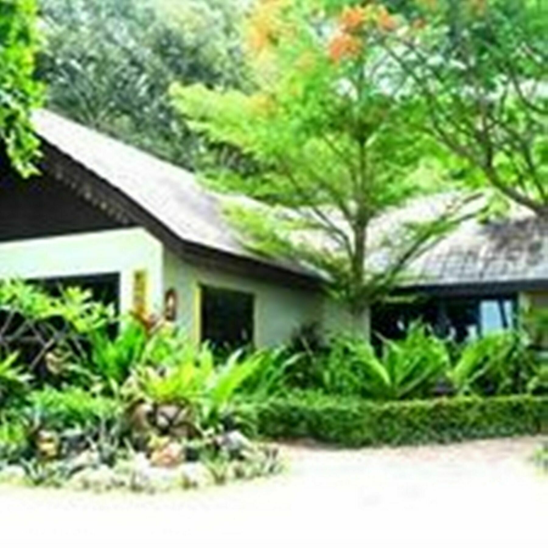 Paradise Pearl Bungalows Koh Koh Phi Phi Don Extérieur photo